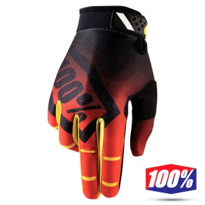 Alpinestars Guanto AVIATOR 2017