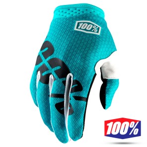 Alpinestars Guanto AVIATOR 2017