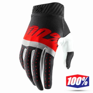 Alpinestars Guanto AVIATOR 2017